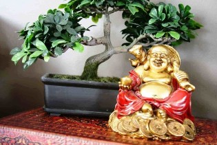 The happiness and the prosperity of the house of Feng Shui