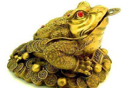Toad Magic Toad
