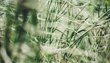 How to make a lucky charm with your own hands