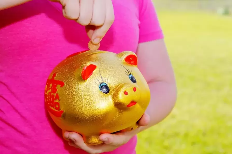 good luck amulet - pig